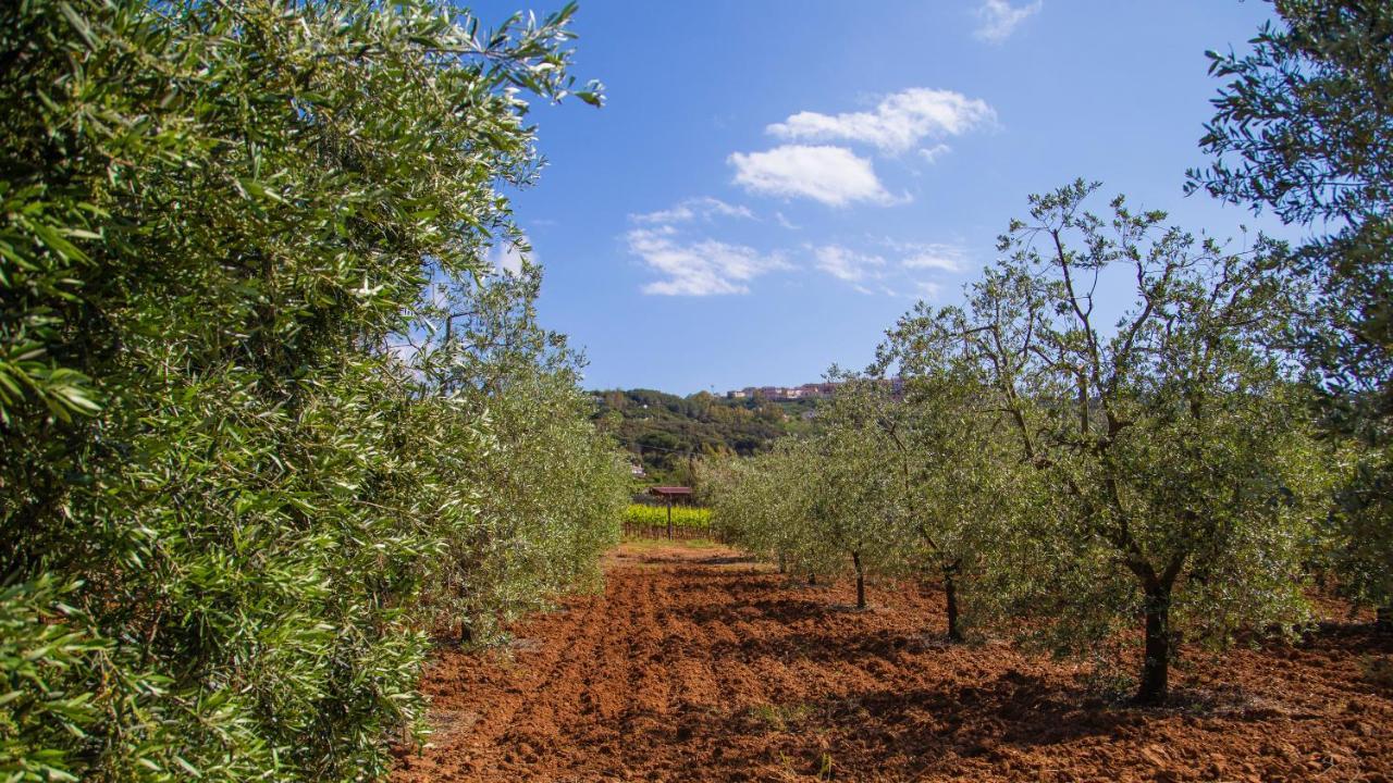 Country Da Pilade 3* Capoliveri (Isola d'Elba)