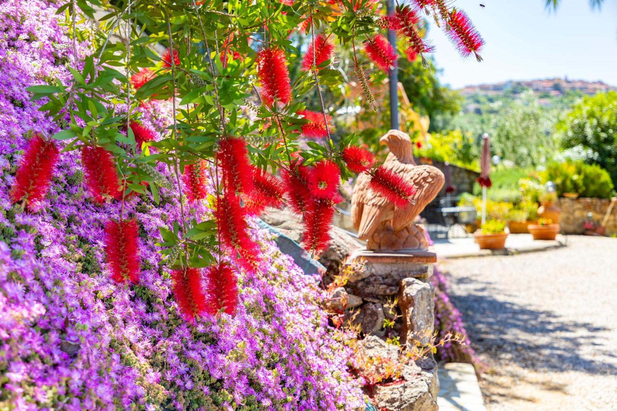 Hotel Country Da Pilade Capoliveri (Isola d'Elba)